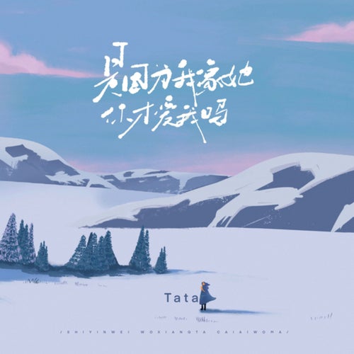 是因为我像她你才爱我吗 (是因为我像她你才爱我吗)