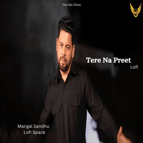 Tere Na Preet (Lofi)