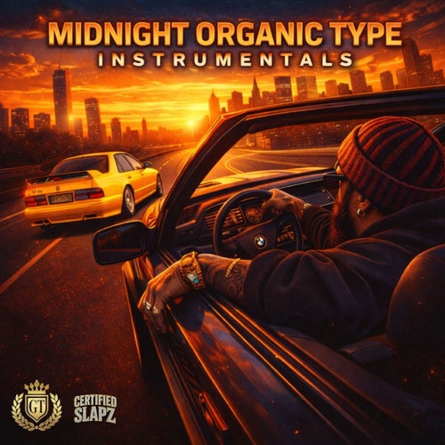Midnight Organic Type Instrumentals 2