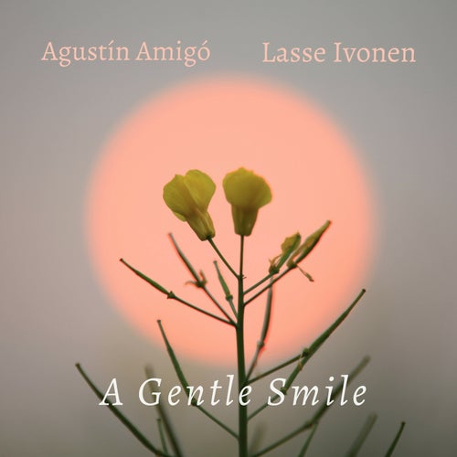 A Gentle Smile