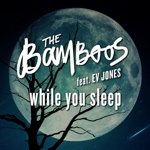 While You Sleep (feat. Ev Jones)