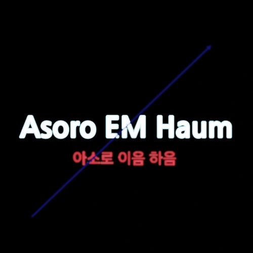 Asoro EM Haum (김신이)