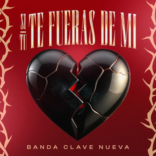 Si Tu Te Fueras De Mi