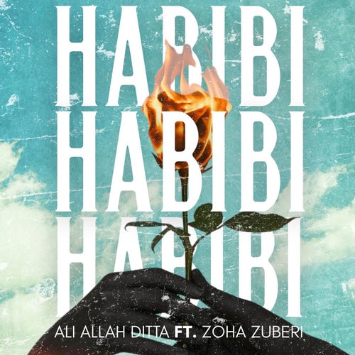Habibi (feat. Zoha Zuberi)