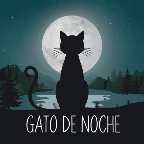 Gato de noche