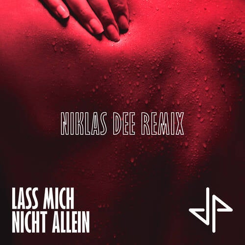 Lass mich nicht allein (Niklas Dee Remix)