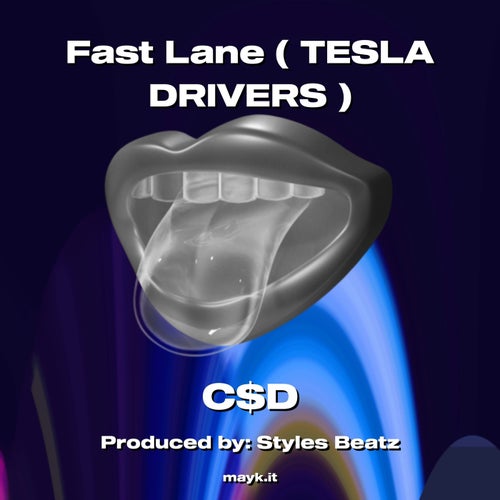 Fast Lane ( TESLA DRIVERS )