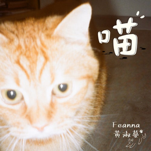 MEOW!