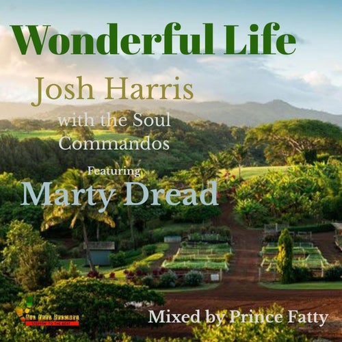 Wonderful Life