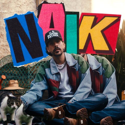 Naik