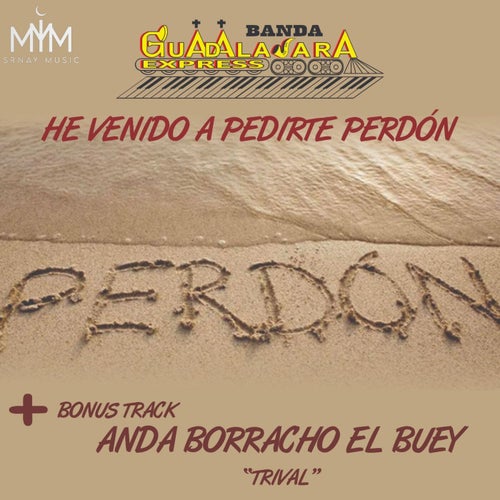 He Venido a Pedirte Perdón (Anda Borracho El Buey)