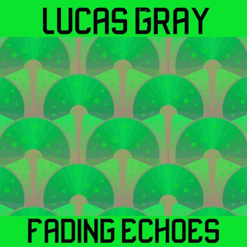 Fading Echoes