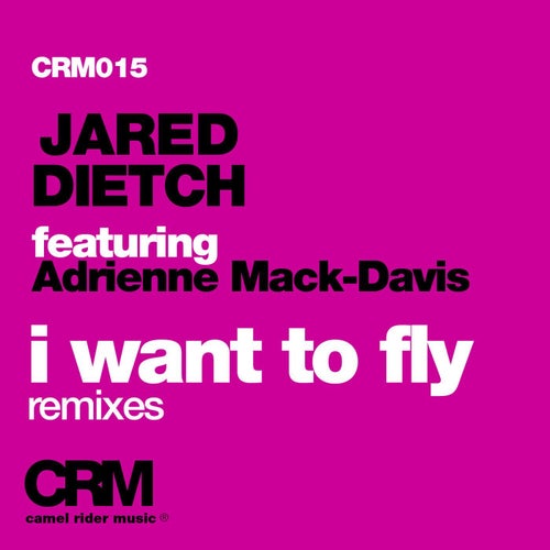 I Want to Fly, Pt. 2 (feat. Adrienne Mack-Davis) [Remixes]