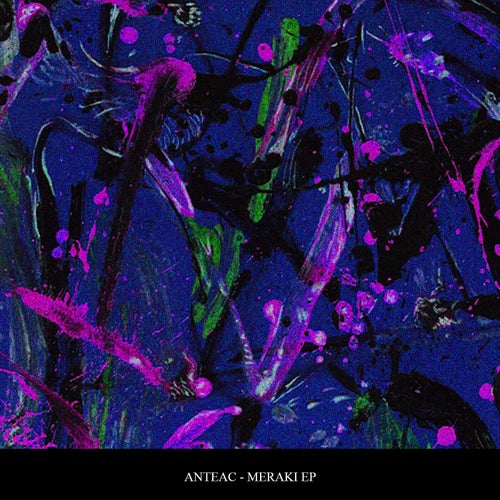 Meraki EP