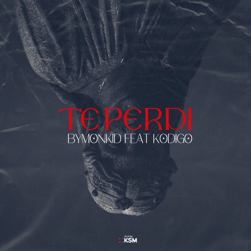 Te Perdí