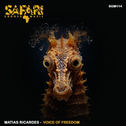 Voice of freedom (Original Mix)