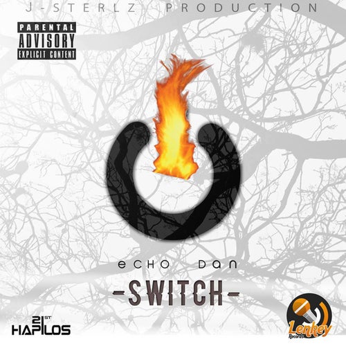 Switch - Single