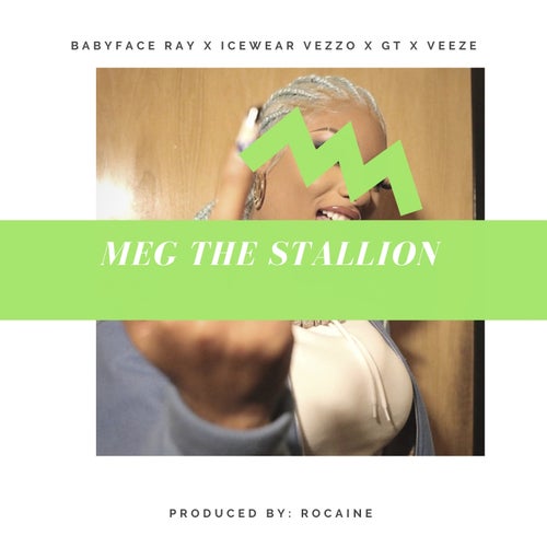 Meg The Stallion (feat. GT)