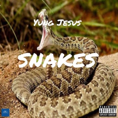 Snakes
