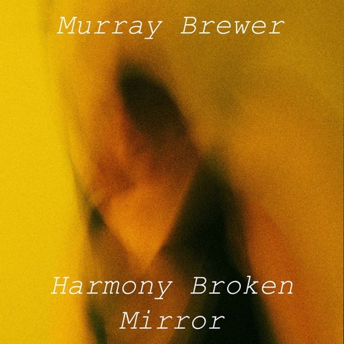 Harmony Broken Mirror