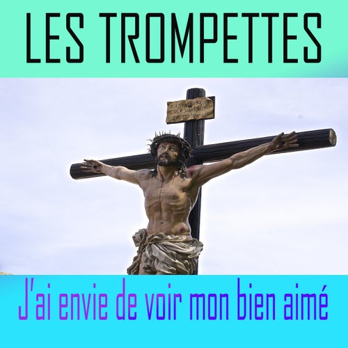 J'ai envie de voir mon bien aimé
