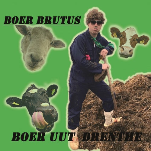 Boer Uut Drenthe