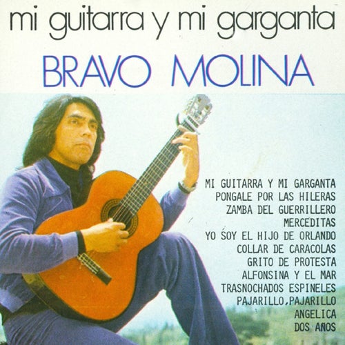 Mi Guitarra y Mi Garganta