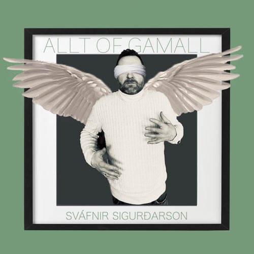 Allt of gamall