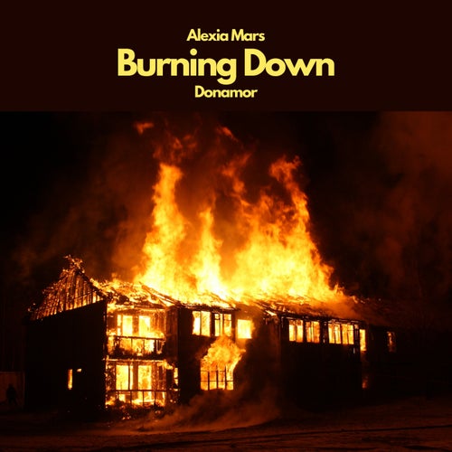 Burning Down (feat. Donamor)