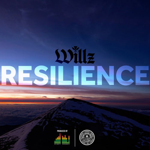 Resilience