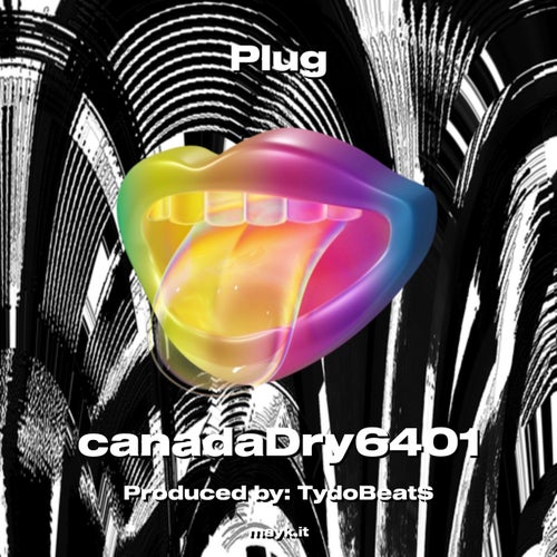 Plug