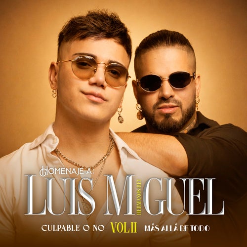 Homenaje A Luis Miguel, Vol. 2: Culpable O No / Más Allá De Todo