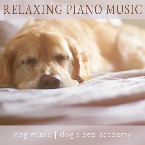 Dog music to sleep deals