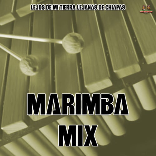 Lejos De Mi Tierra Chiapas