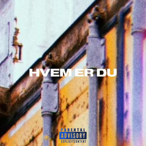 HVEM ER DU