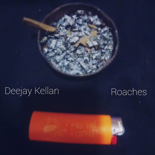 Roaches