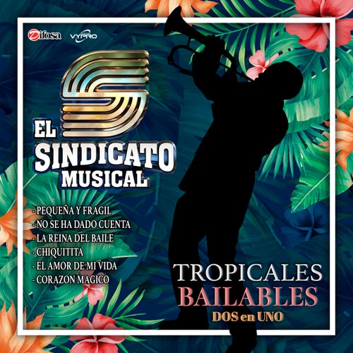 Tropicales Bailables Dos en Uno