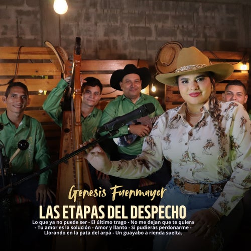 Las Etapas del Despecho