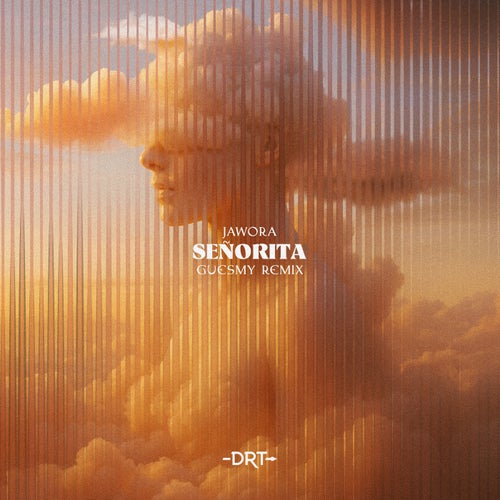 Señorita (Guesmy Extended Remix)