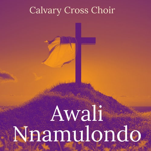 Awali Nnamulondo