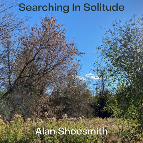 Searching In Solitude