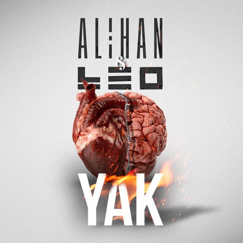 Yak