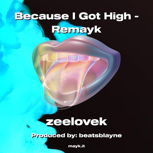 Because I Got High - Remayk