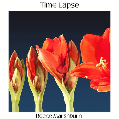 Time Lapse