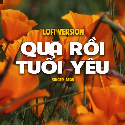 Qua Rồi Tuổi Yêu (Lo-Fi)