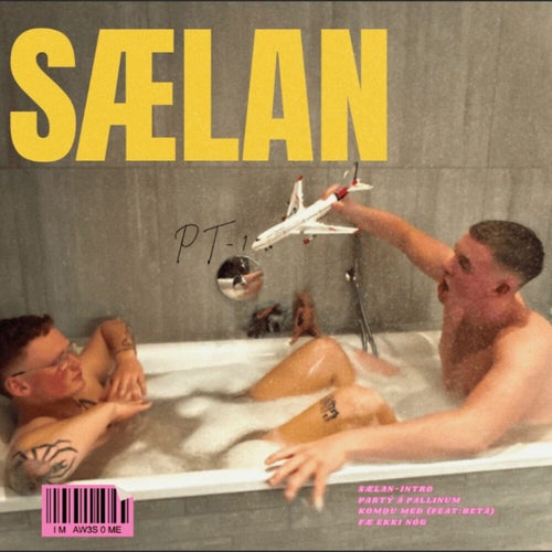 SÆLAN, Pt. 1