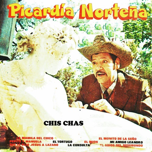 Picardia nortena Chis chas