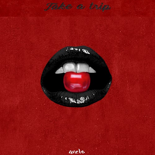 TAKE A TRIP