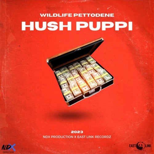 Hush Puppi