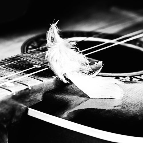 Broken Wings